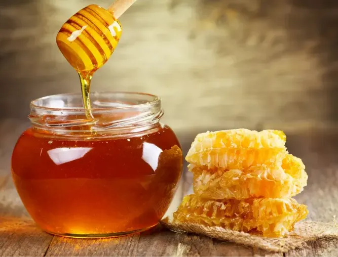 Image de l'article fiche aliment :
le miel